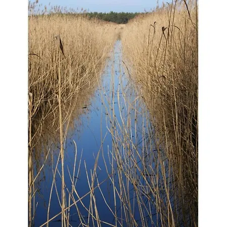 In The Wiesenweg *